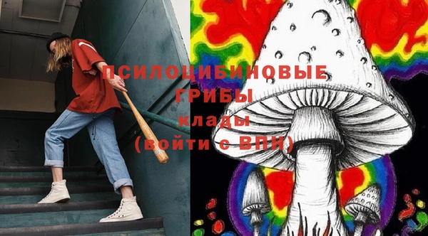 mdpv Няндома