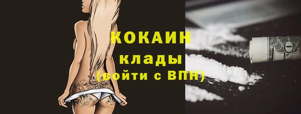 spice Новозыбков