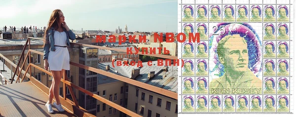 МДПВ Новодвинск