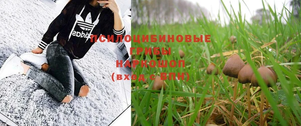 МДПВ Новодвинск