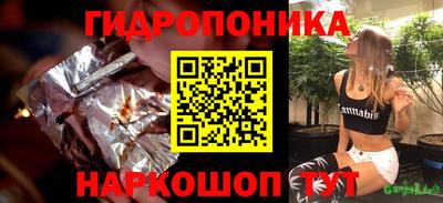 крисы Сертолово