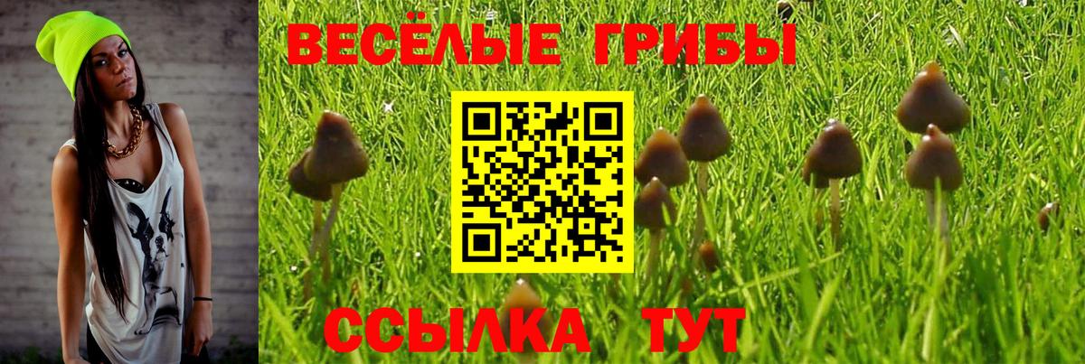 Псилоцибиновые грибы Psilocybine cubensis Петровск