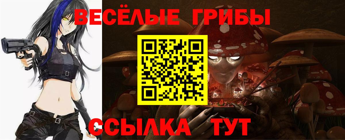цены наркотик  Вход с VPN  Петровск  Псилоцибиновые грибы мухоморы 